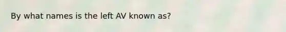 By what names is the left AV known as?