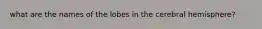 what are the names of the lobes in the cerebral hemisphere?