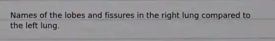 Names of the lobes and fissures in the right lung compared to the left lung.