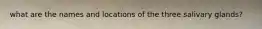 what are the names and locations of the three salivary glands?
