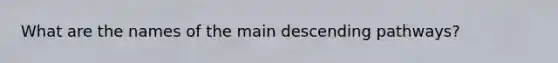 What are the names of the main descending pathways?