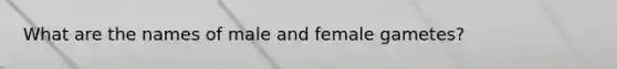 What are the names of male and female gametes?