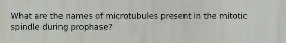 What are the names of microtubules present in the mitotic spindle during prophase?