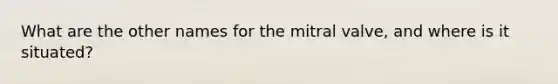 What are the other names for the mitral valve, and where is it situated?