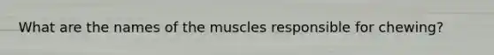 What are the names of the muscles responsible for chewing?