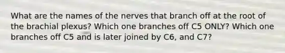 What are the names of the nerves that branch off at the root of the brachial plexus? Which one branches off C5 ONLY? Which one branches off C5 and is later joined by C6, and C7?