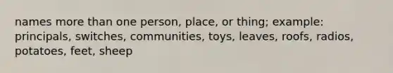 names more than one person, place, or thing; example: principals, switches, communities, toys, leaves, roofs, radios, potatoes, feet, sheep