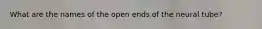 What are the names of the open ends of the neural tube?