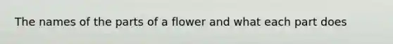 The names of the parts of a flower and what each part does