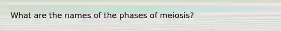 What are the names of the phases of meiosis?