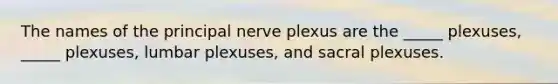 The names of the principal nerve plexus are the _____ plexuses, _____ plexuses, lumbar plexuses, and sacral plexuses.