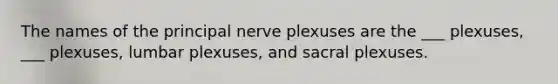 The names of the principal nerve plexuses are the ___ plexuses, ___ plexuses, lumbar plexuses, and sacral plexuses.