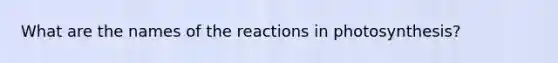 What are the names of the reactions in photosynthesis?