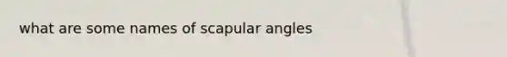 what are some names of scapular angles