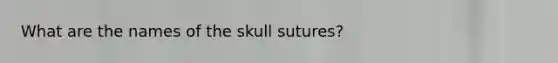 What are the names of the skull sutures?