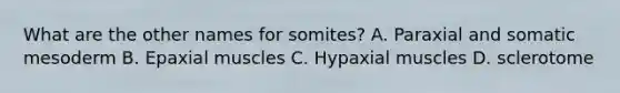 What are the other names for somites? A. Paraxial and somatic mesoderm B. Epaxial muscles C. Hypaxial muscles D. sclerotome