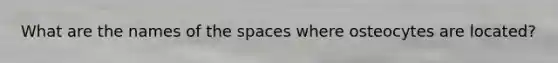 What are the names of the spaces where osteocytes are located?