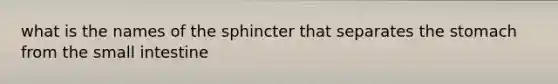 what is the names of the sphincter that separates the stomach from the small intestine