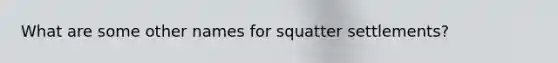 What are some other names for squatter settlements?