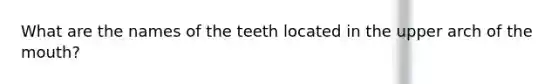 What are the names of the teeth located in the upper arch of the mouth?