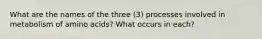 What are the names of the three (3) processes involved in metabolism of amino acids? What occurs in each?