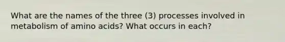 What are the names of the three (3) processes involved in metabolism of amino acids? What occurs in each?