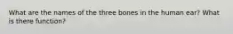 What are the names of the three bones in the human ear? What is there function?