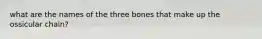 what are the names of the three bones that make up the ossicular chain?