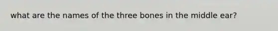 what are the names of the three bones in the middle ear?