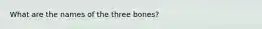 What are the names of the three bones?