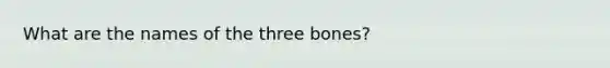 What are the names of the three bones?