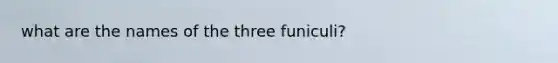 what are the names of the three funiculi?