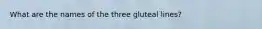 What are the names of the three gluteal lines?