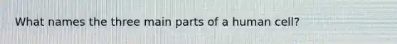 What names the three main parts of a human cell?