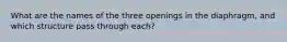 What are the names of the three openings in the diaphragm, and which structure pass through each?