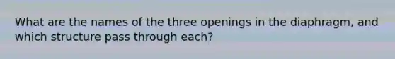 What are the names of the three openings in the diaphragm, and which structure pass through each?