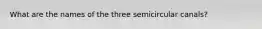 What are the names of the three semicircular canals?