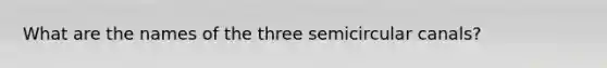 What are the names of the three semicircular canals?