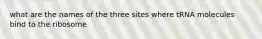 what are the names of the three sites where tRNA molecules bind to the ribosome