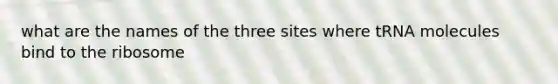 what are the names of the three sites where tRNA molecules bind to the ribosome