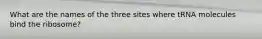 What are the names of the three sites where tRNA molecules bind the ribosome?