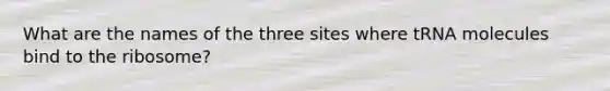 What are the names of the three sites where tRNA molecules bind to the ribosome?