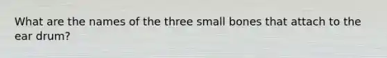 What are the names of the three small bones that attach to the ear drum?