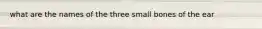 what are the names of the three small bones of the ear