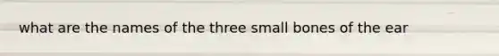 what are the names of the three small bones of the ear