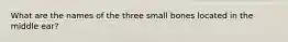 What are the names of the three small bones located in the middle ear?