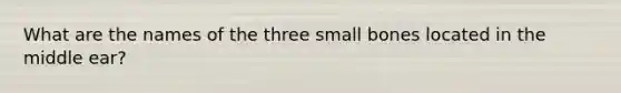 What are the names of the three small bones located in the middle ear?