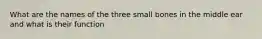 What are the names of the three small bones in the middle ear and what is their function