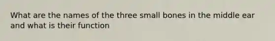 What are the names of the three small bones in the middle ear and what is their function