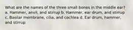 What are the names of the three small bones in the middle ear? a. Hammer, anvil, and stirrup b. Hammer, ear drum, and stirrup c. Basilar membrane, cilia, and cochlea d. Ear drum, hammer, and stirrup